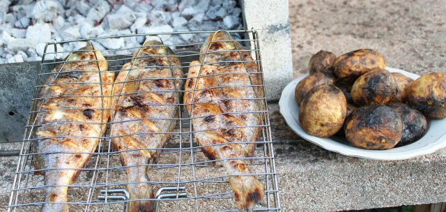 Rybí speciality, které si zvládnete připravit doma