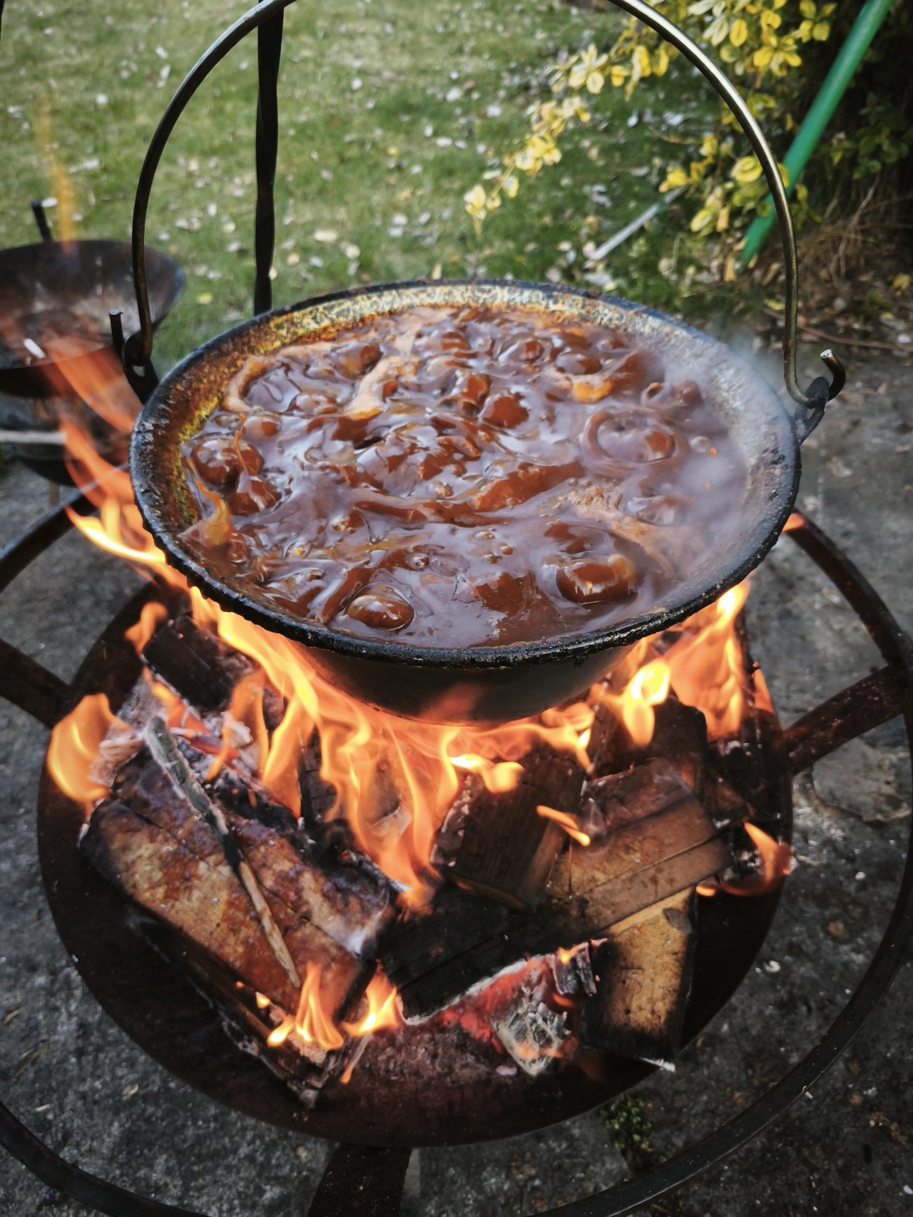 Speciální akce a Grilování