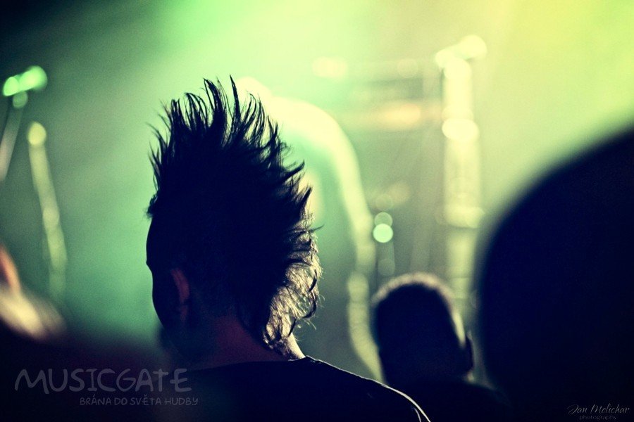 Koncerty/festivaly